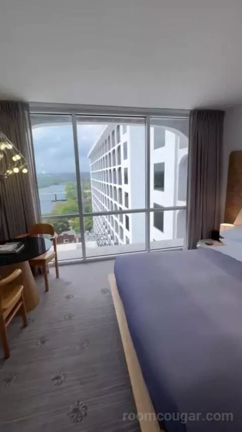 City View Suite bed picture #2
