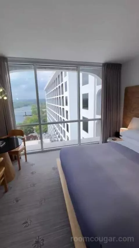 City View Suite view picture #6