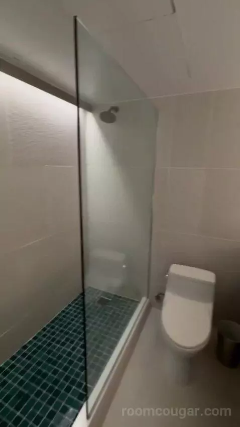 City View Suite bathroom picture #8