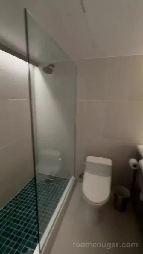 City View Suite bathroom picture #9