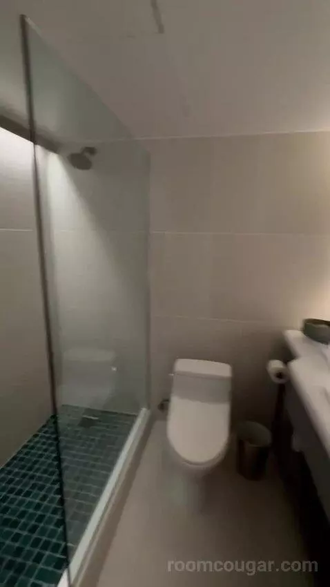 City View Suite bathroom picture #10