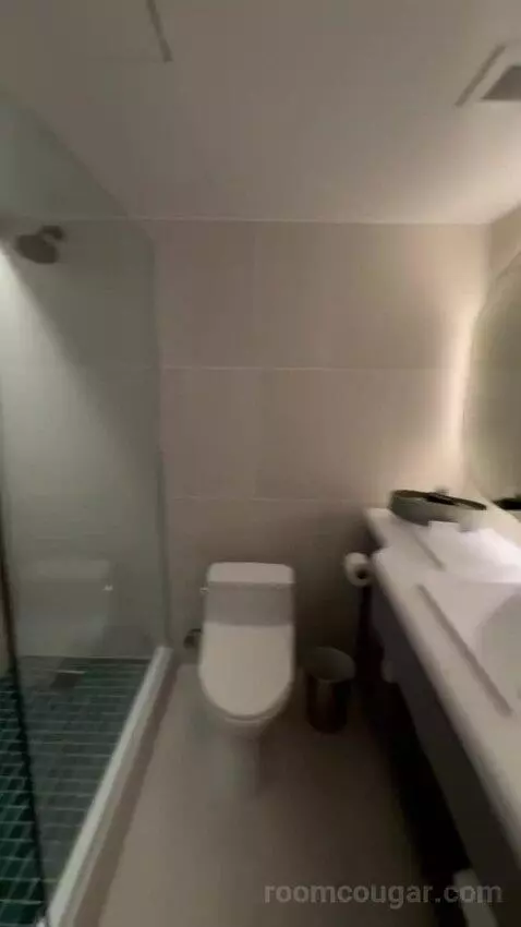 City View Suite bathroom picture #12