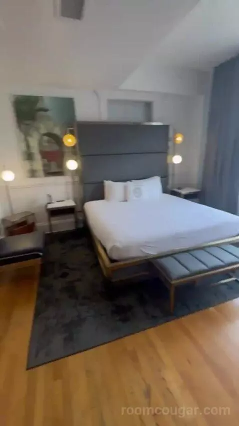 One-Bedroom King Suite with Sofa Bed (Wish there w) bed picture #2