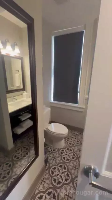 One-Bedroom King Suite with Sofa Bed (Wish there w) bathroom picture #1