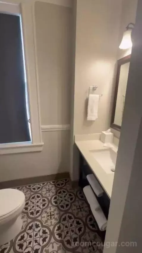 One-Bedroom King Suite with Sofa Bed (Wish there w) bathroom picture #4