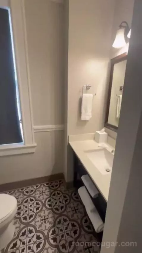 One-Bedroom King Suite with Sofa Bed (Wish there w) bathroom picture #5