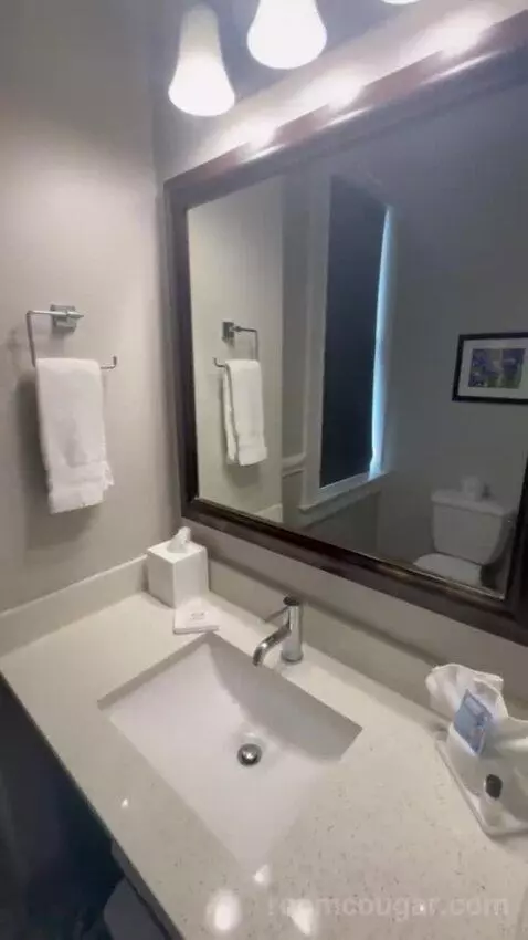One-Bedroom King Suite with Sofa Bed (Wish there w) bathroom picture #7