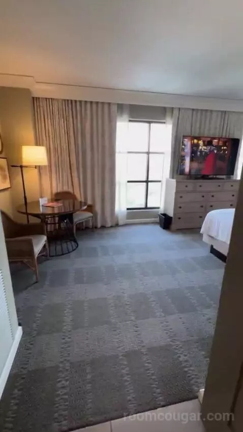 Champions Studio Suite 1 King bed picture #1