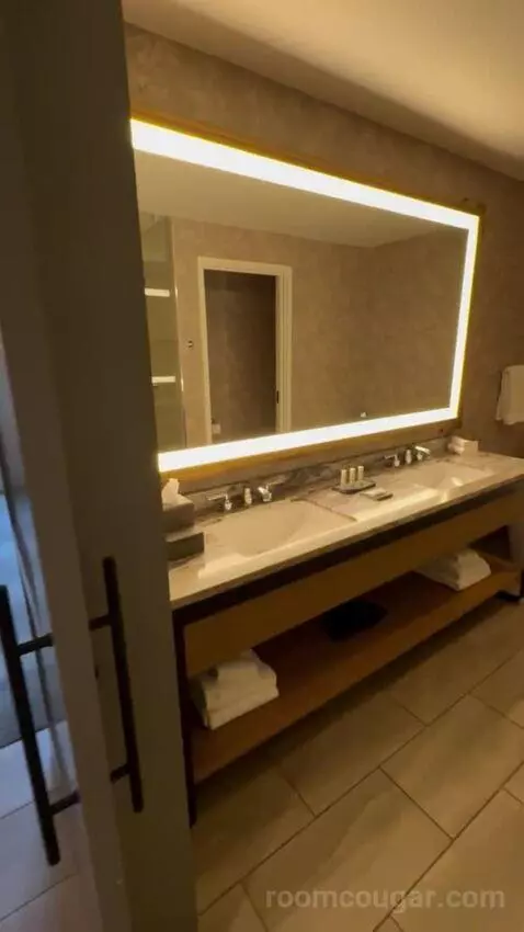 Champions Studio Suite 1 King bathroom picture #3