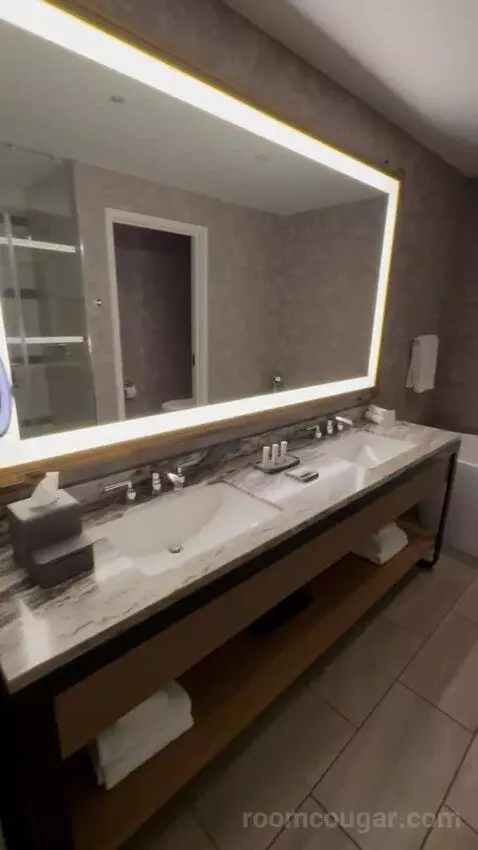 Champions Studio Suite 1 King bathroom picture #4
