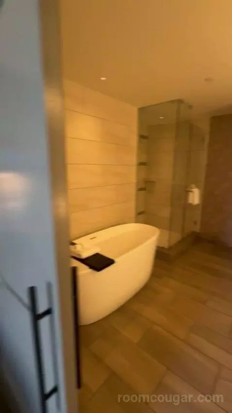 Signature Fairways Suite
 - 1 King Bed bathroom picture #3