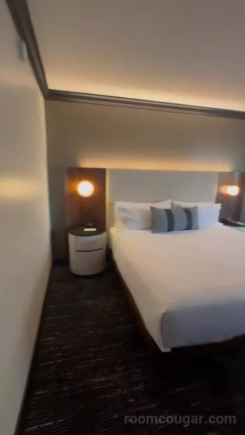 Deluxe King Room bed picture #7