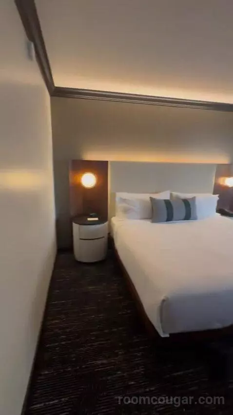 Deluxe King Room bed picture #8