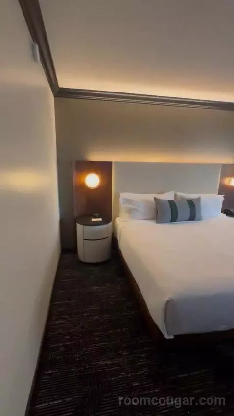 Deluxe King Room bed picture #9