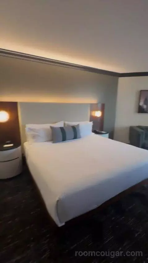 Deluxe King Room bed picture #10