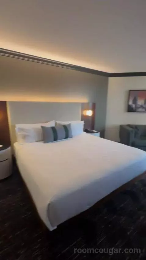 Deluxe King Room bed picture #11