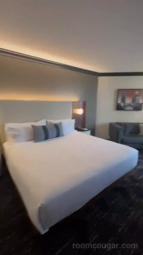 Deluxe King Room bed picture #12