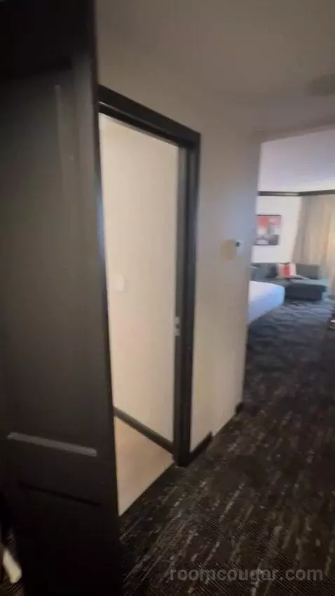 Deluxe King Room bed picture #2