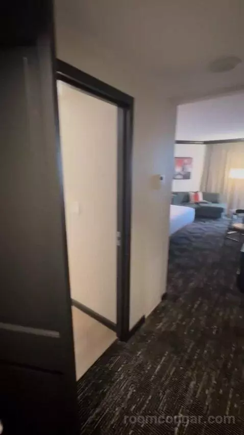Deluxe King Room bed picture #3