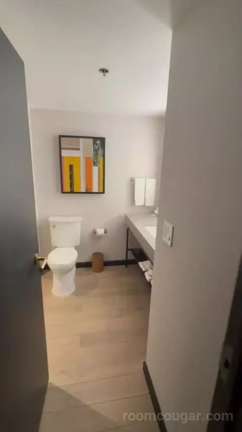 Deluxe King Room bathroom picture #1