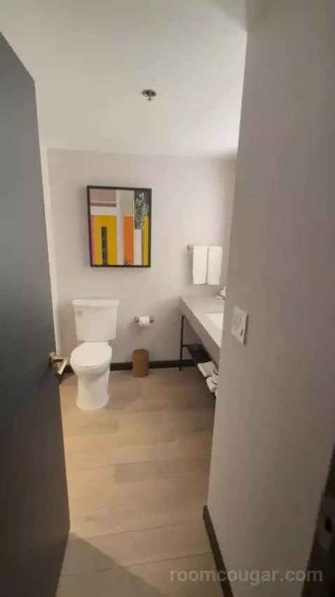Deluxe King Room bathroom picture #2