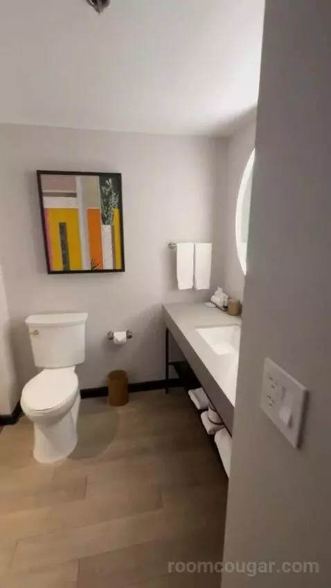 Deluxe King Room bathroom picture #3