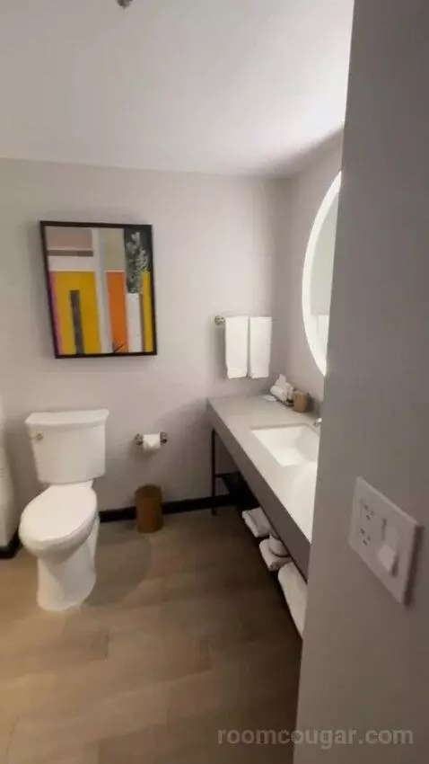 Deluxe King Room bathroom picture #4