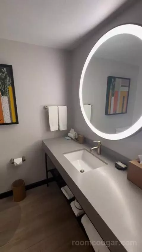 Deluxe King Room bathroom picture #5