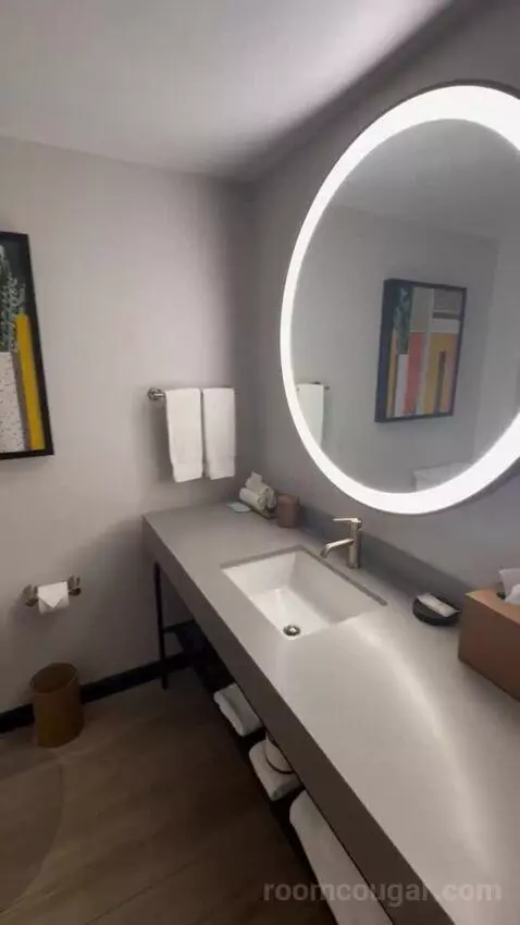 Deluxe King Room bathroom picture #6