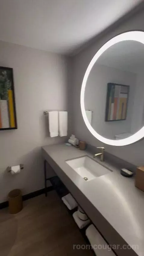 Deluxe King Room bathroom picture #8