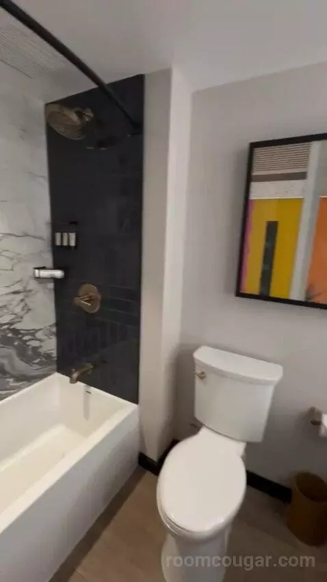 Deluxe King Room bathroom picture #10