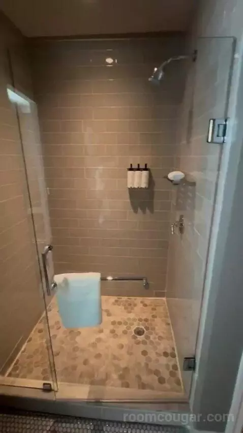 Balcony Corner Suite King bathroom picture #8