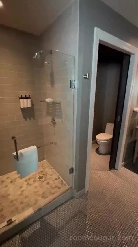 Balcony Corner Suite King bathroom picture #4