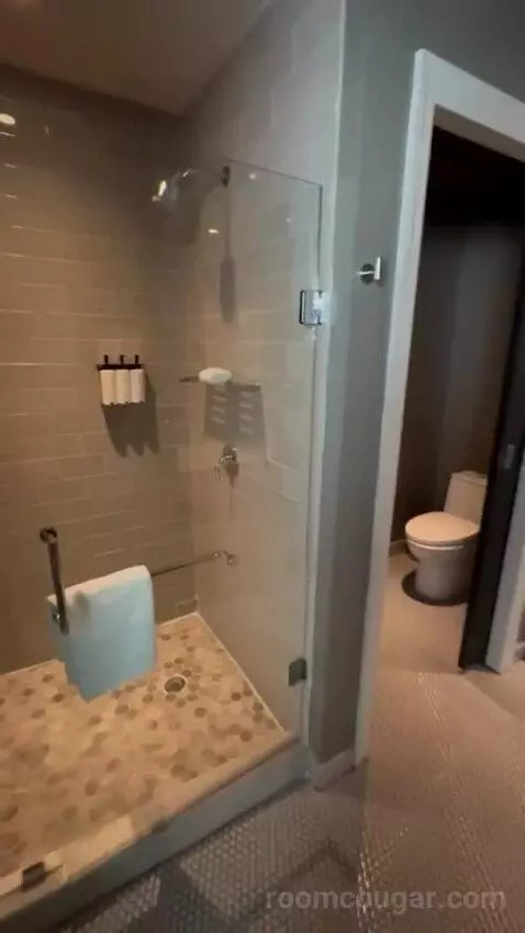 Balcony Corner Suite King bathroom picture #6