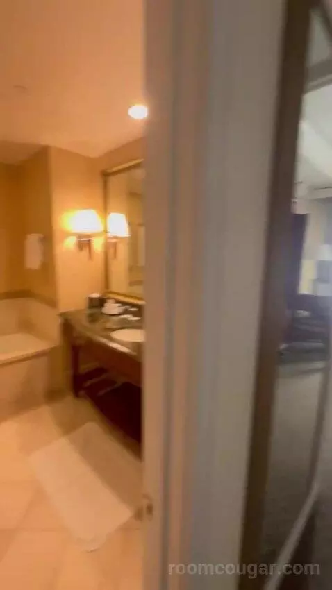 Premier Room - 1 King Bed bathroom picture #1