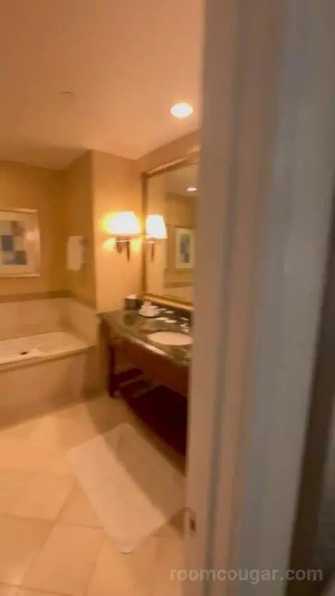 Premier Room - 1 King Bed bathroom picture #2