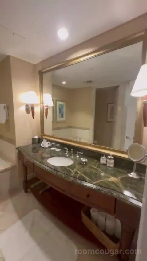 Premier Room - 1 King Bed bathroom picture #3