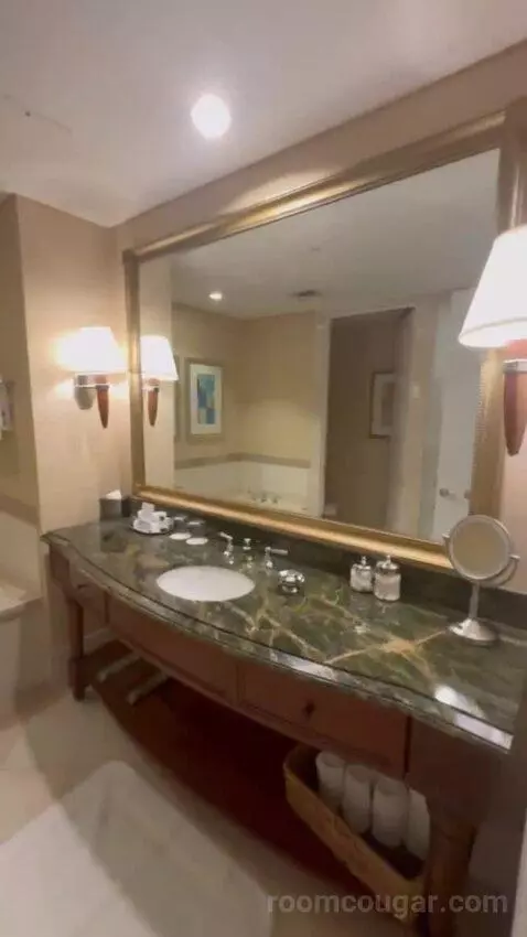 Premier Room - 1 King Bed bathroom picture #4