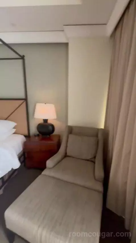 Premier Room - 1 King Bed bed picture #2