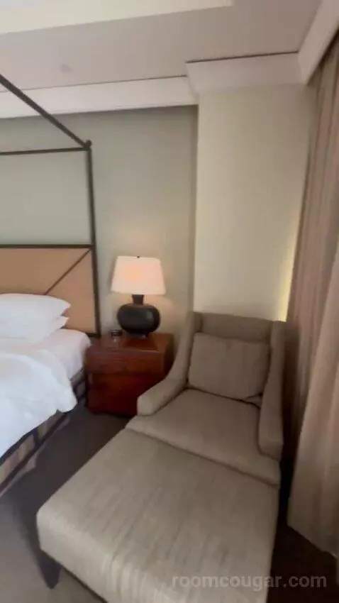 Premier Room - 1 King Bed bed picture #3