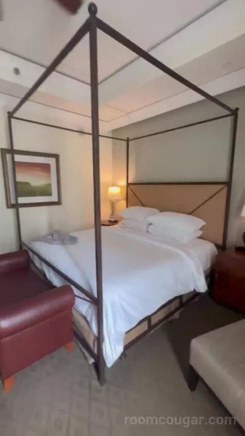 Premier Room - 1 King Bed bed picture #5