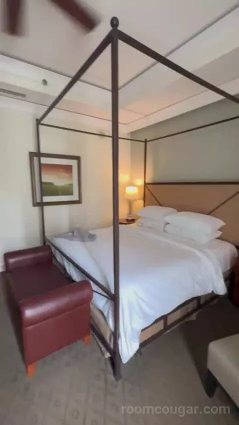 Premier Room - 1 King Bed bed picture #7