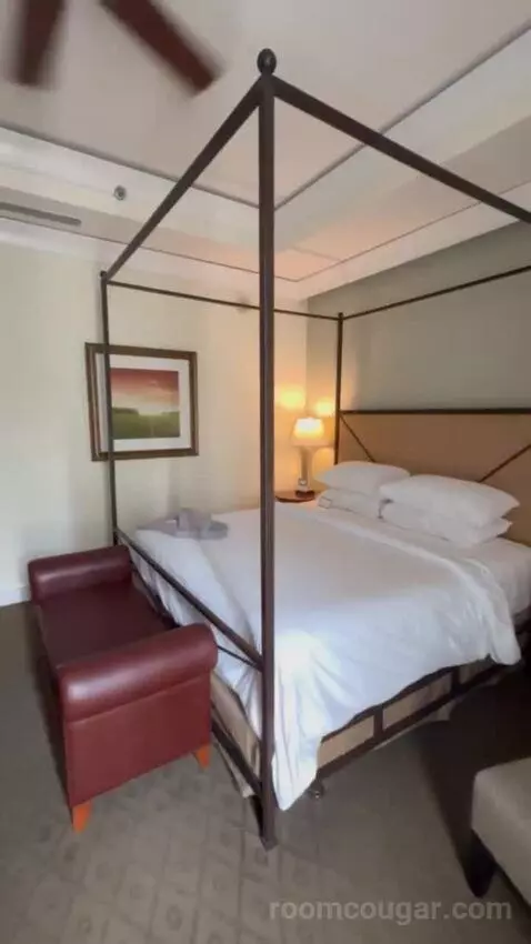 Premier Room - 1 King Bed bed picture #9