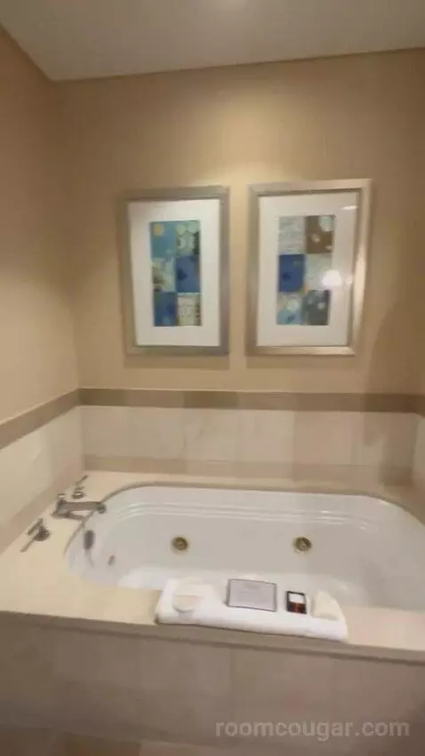 Premier Room - 1 King Bed bathroom picture #5