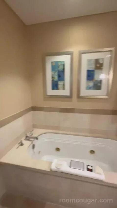 Premier Room - 1 King Bed bathroom picture #6