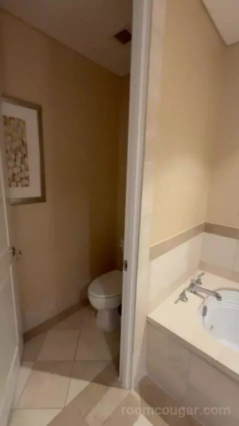 Premier Room - 1 King Bed bathroom picture #7