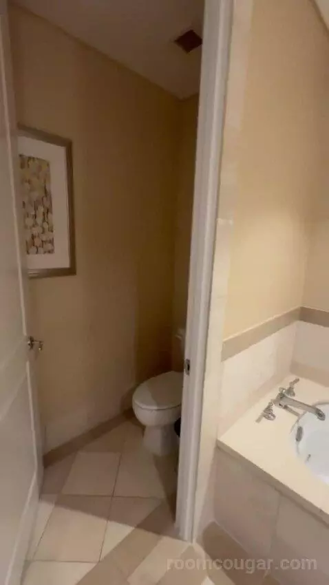 Premier Room - 1 King Bed bathroom picture #8