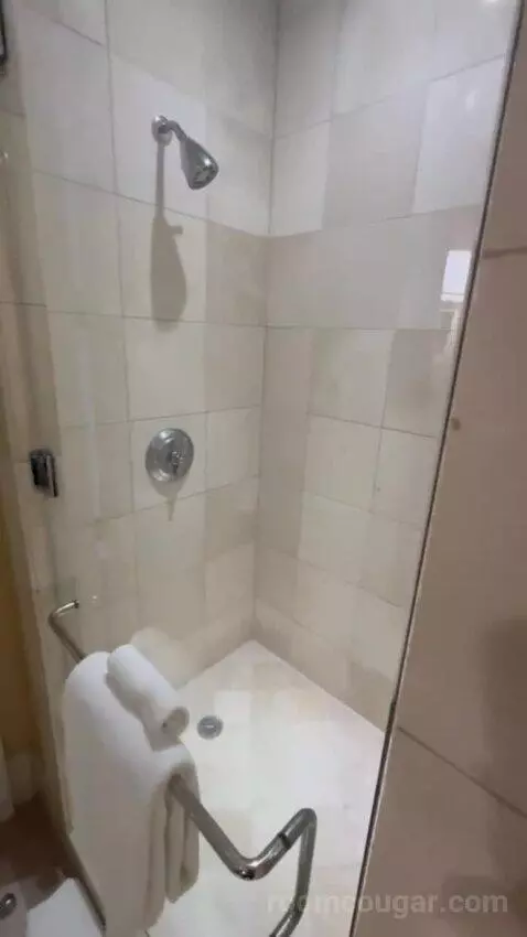 Premier Room - 1 King Bed bathroom picture #11