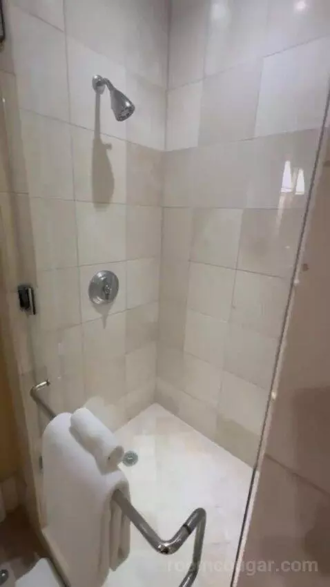 Premier Room - 1 King Bed bathroom picture #12