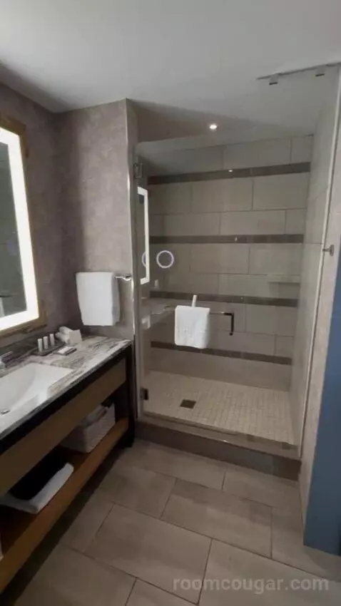 Deluxe Room, 2 Queen Beds bathroom picture #5